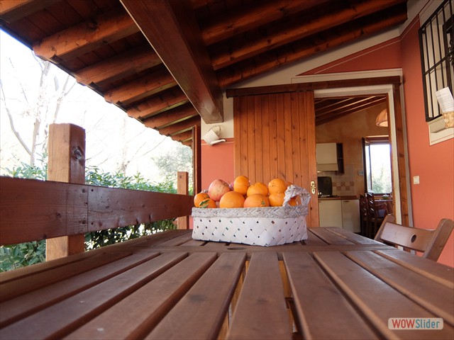 DSCF8657_1