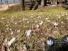 DSCF8679